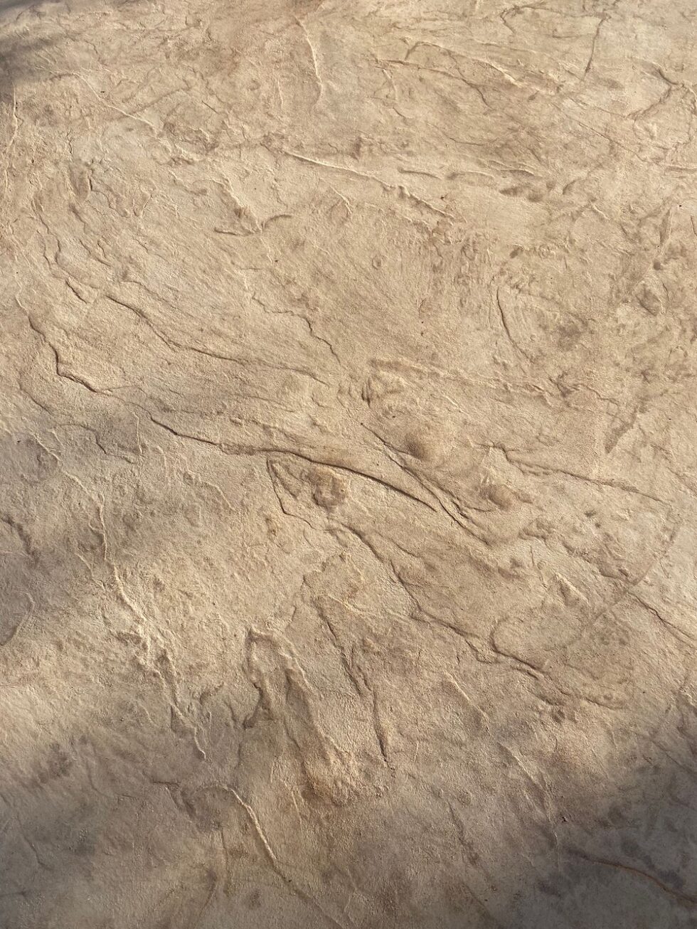 Béton imprimé à Belleville en Beaujolais coloris Bourgogne