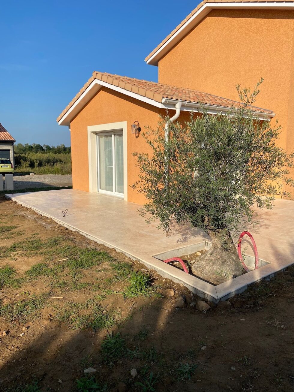 Terrasse avec réservation pour un olivier